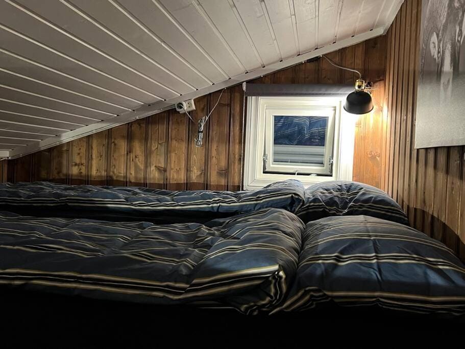 Koselig hytte med uteplas ved Hallingdalselva House in Viken, Norway
