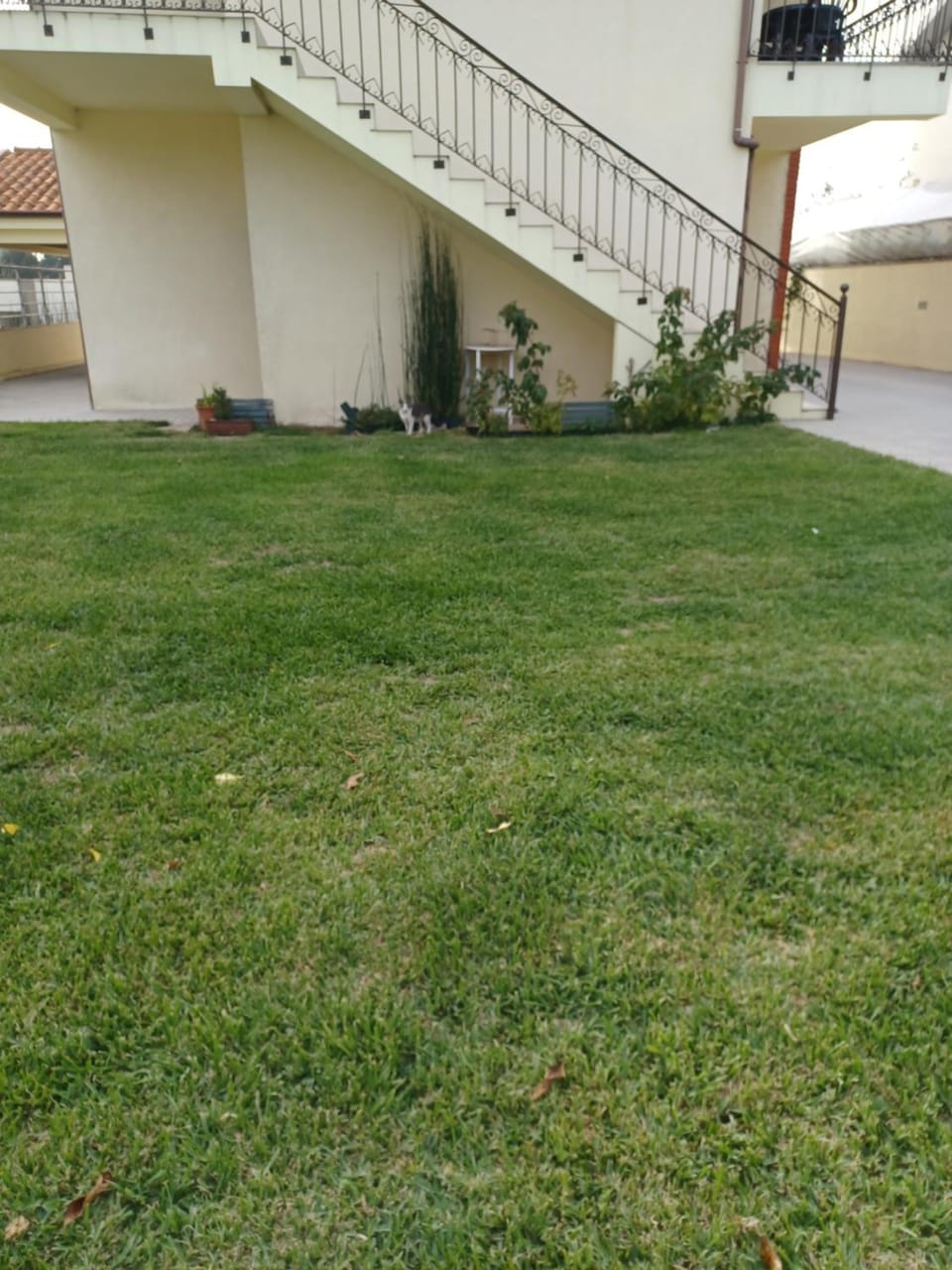 Garden view