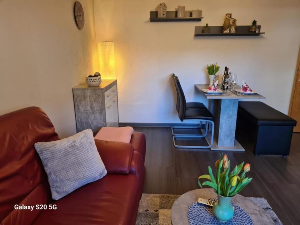 NEU! Ferienwohnung Eulennest Apartment in Mainz-Bingen