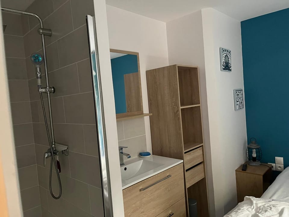 Shower, Bed, Photo of the whole room, Bedroom