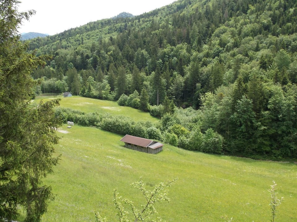 Natural landscape, View (from property/room), Mountain view