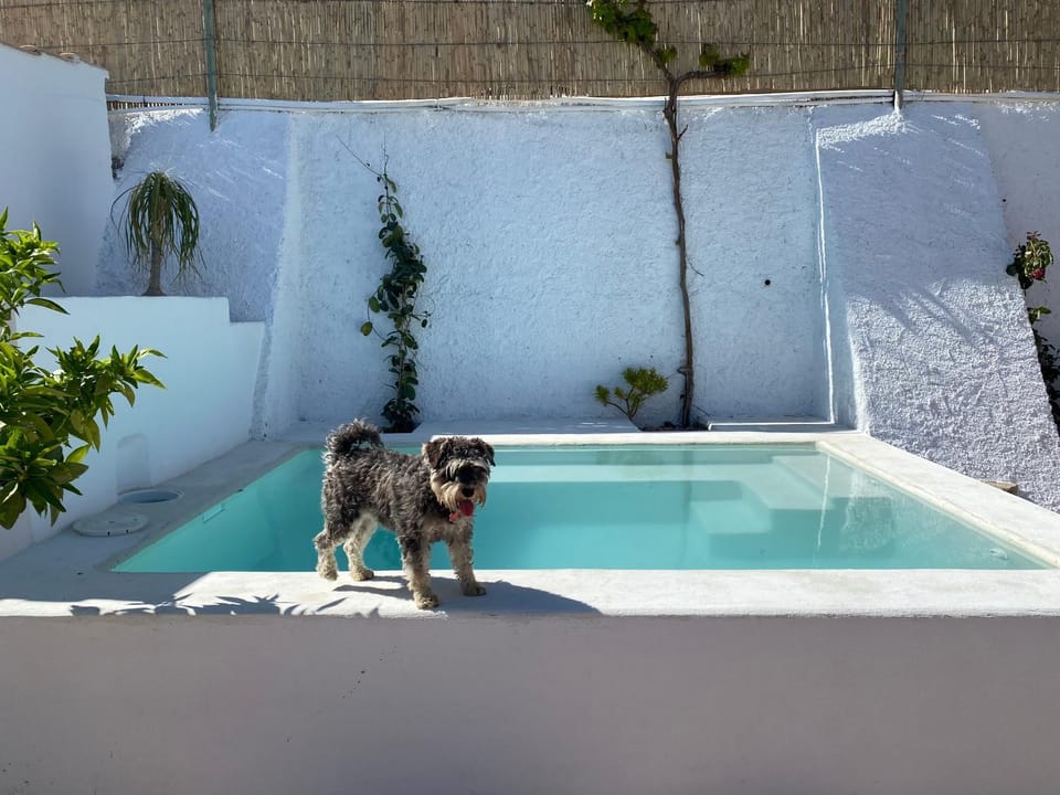 El Majuelo 2 House in Comarca Metropolitana de Almería