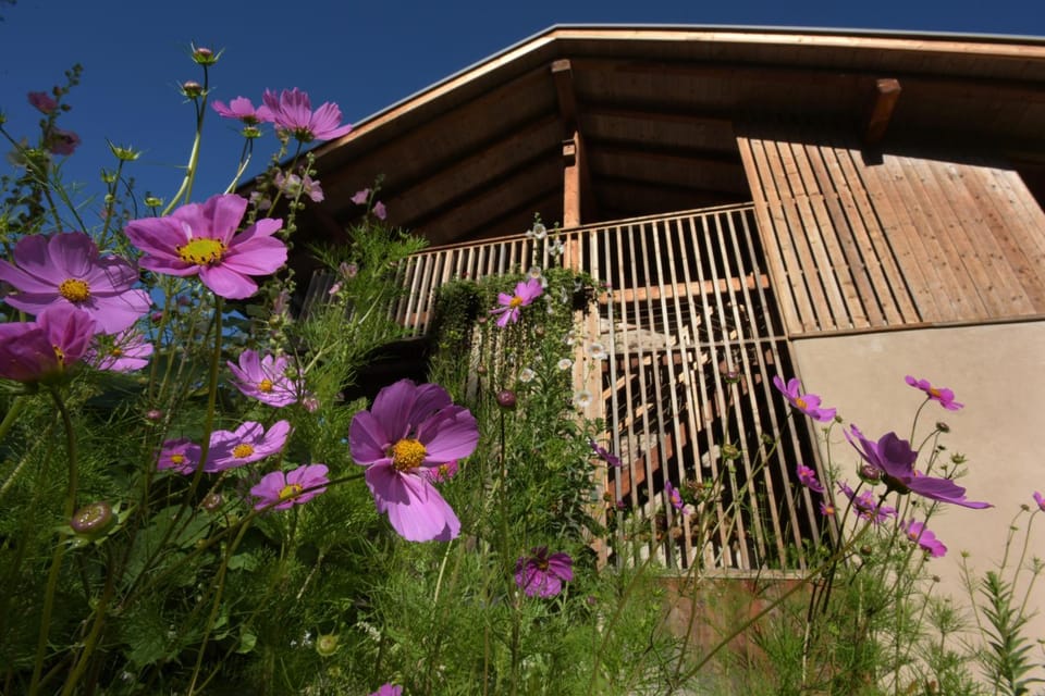 B&B Mas de Lagorae Apartment in Trentino-South Tyrol