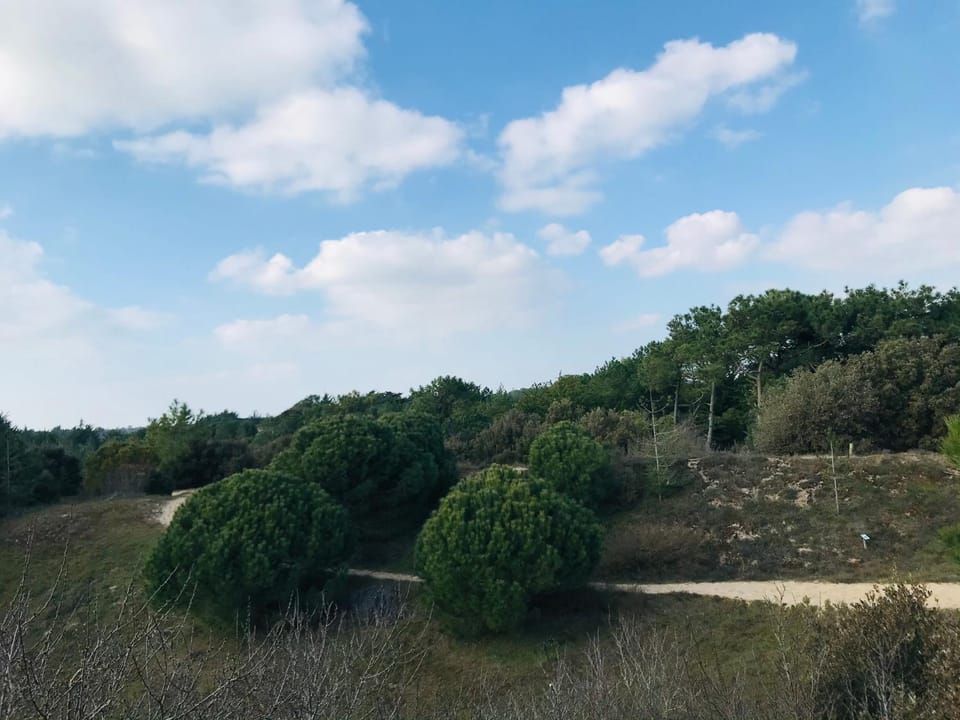 Nearby landmark