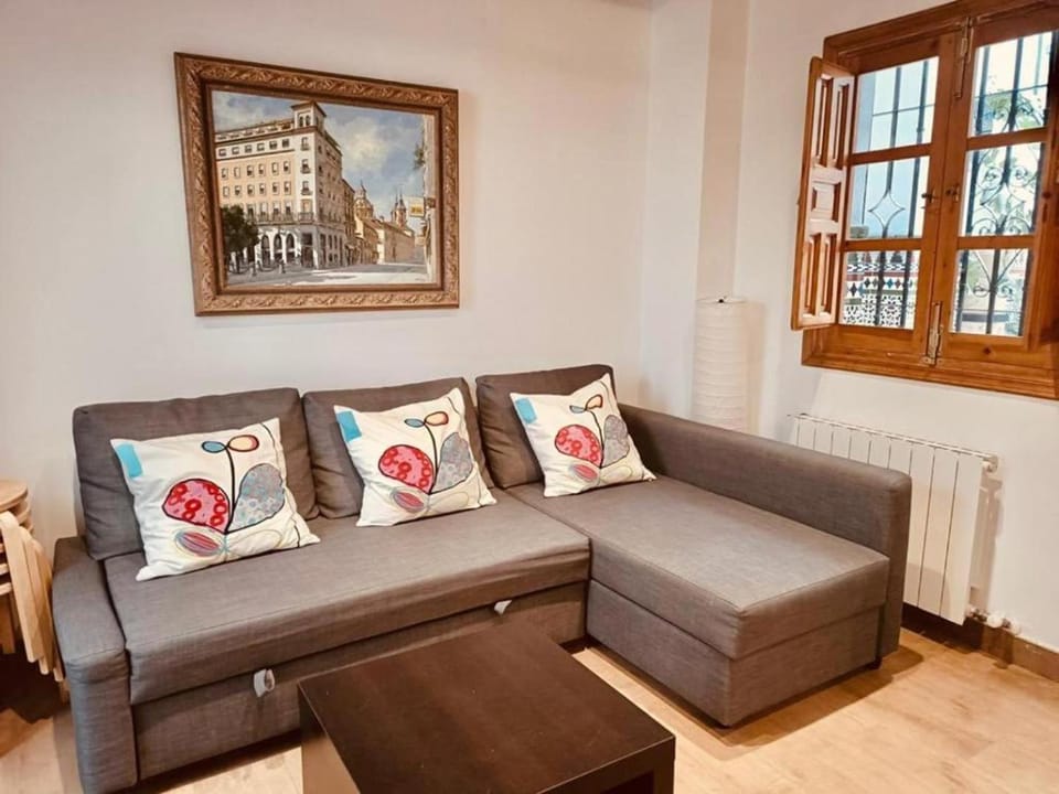 Casa Siglo XVIII con patio en centro de Granada con parking opcional Apartment in Granada