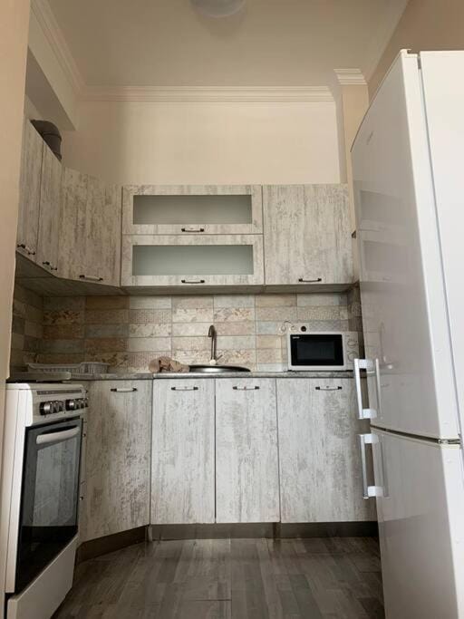 The Comfortable and Beautiful Apt in Tbilisi Apartment in Tbilisi, Georgia
