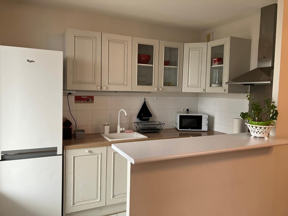 Kitchen or kitchenette, dishwasher, oven, stove, toaster