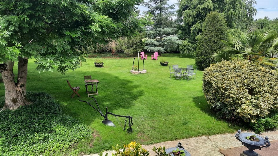 Garden, Garden, Garden view, Garden view