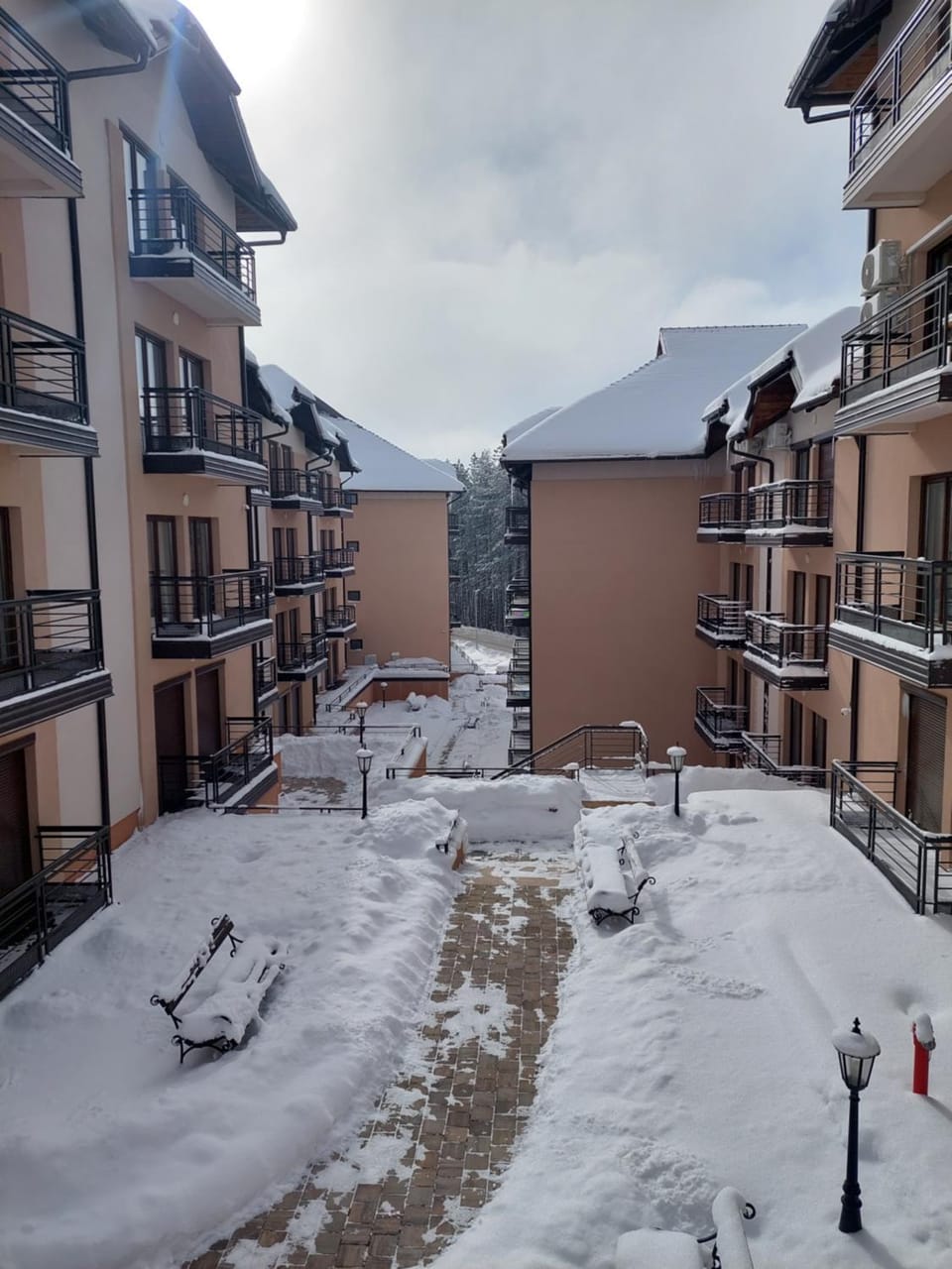 Property building, Winter, Garden view, Inner courtyard view