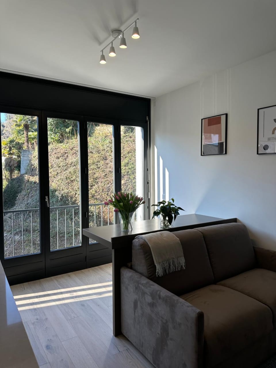 Live Lugano - Via A Riva Apartment in Lugano