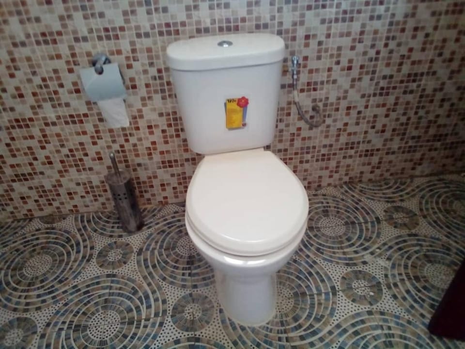 Toilet