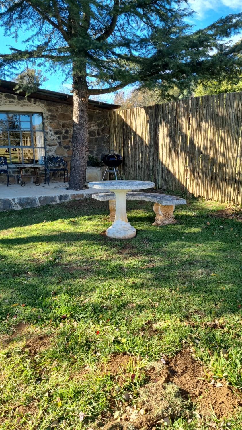 Day, Garden, Garden view
