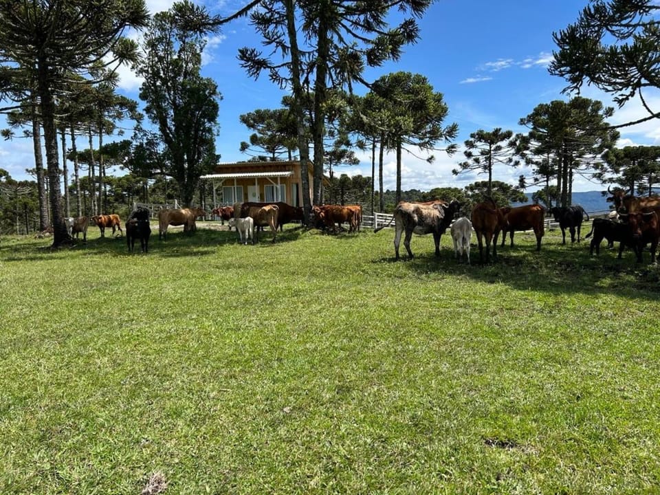 Cabana Fazenda Borba Chalet in State of Santa Catarina