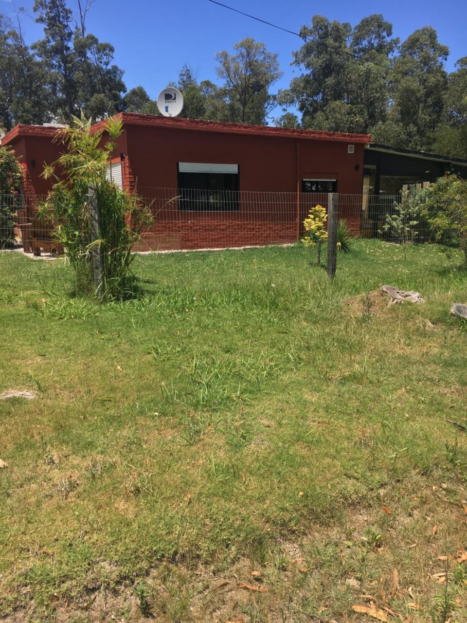 Property building, Natural landscape, Garden