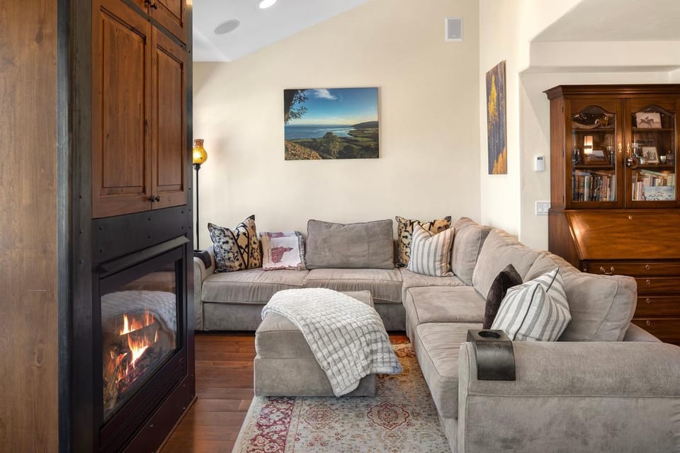 Walk to Festivals! Windows, Fireplace, Hot Tub condo Apartment in Telluride