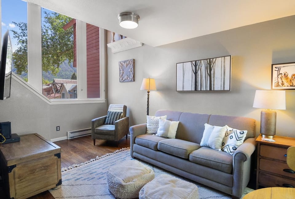 Snowy Peak Views from Living Room, 2 Parking Spaces, Walk to Ski condo Apartment in Telluride