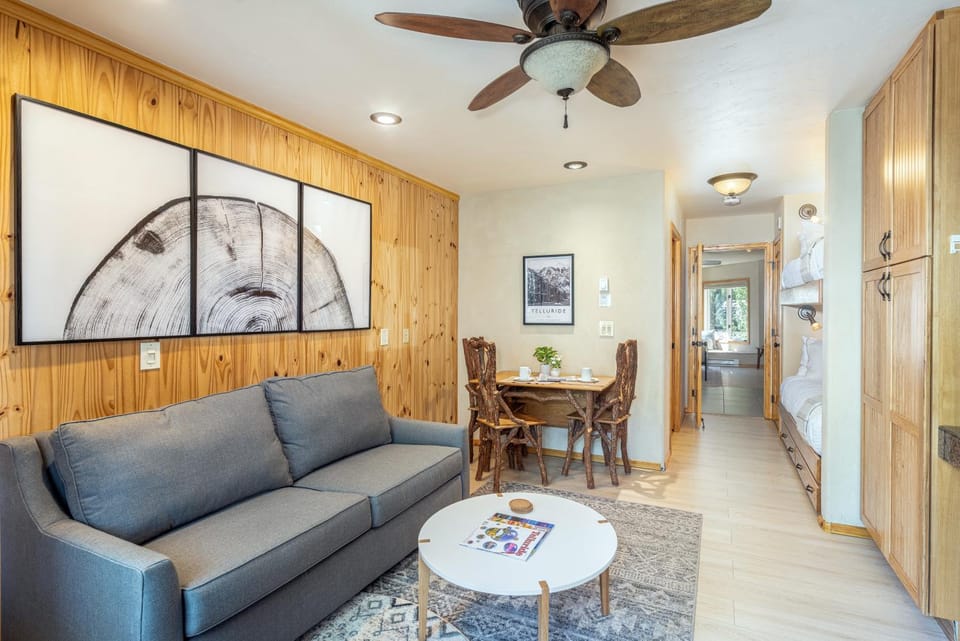 Viking Lodge 313 Apartment in Telluride