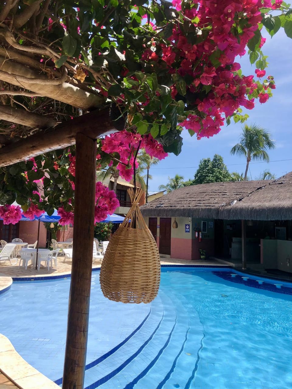 Day, Pool view, Swimming pool, Swimming pool