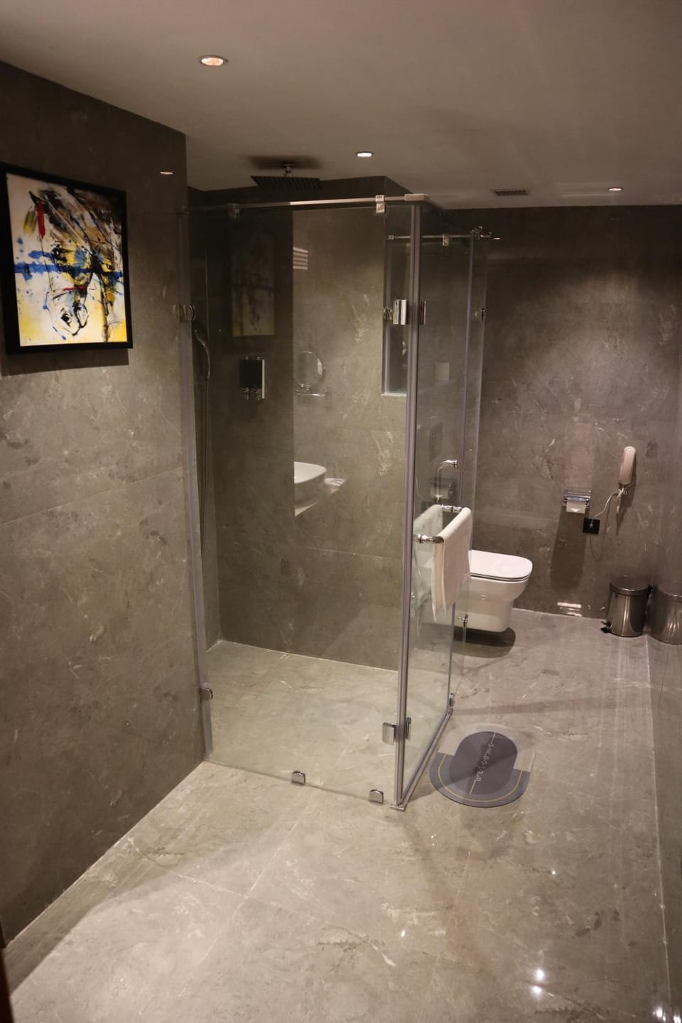 Shower, Toilet