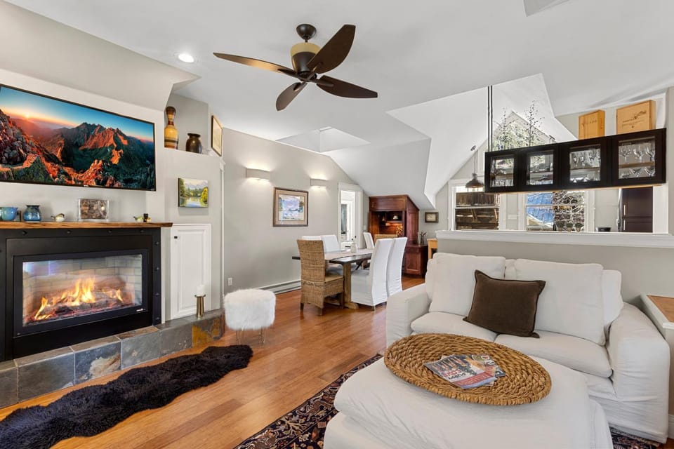 Peaceful Home-Like Condo - Spacious, Private Deck, Fireplace condo Apartment in Telluride