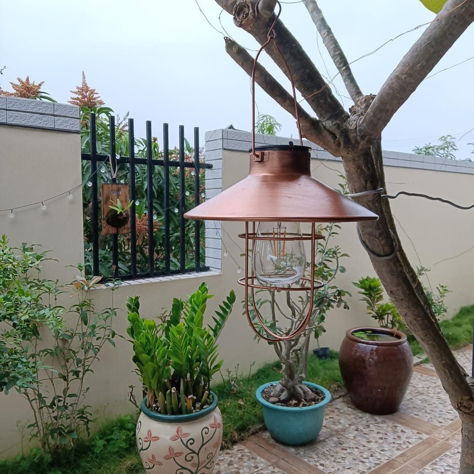 Spring, Day, Garden view