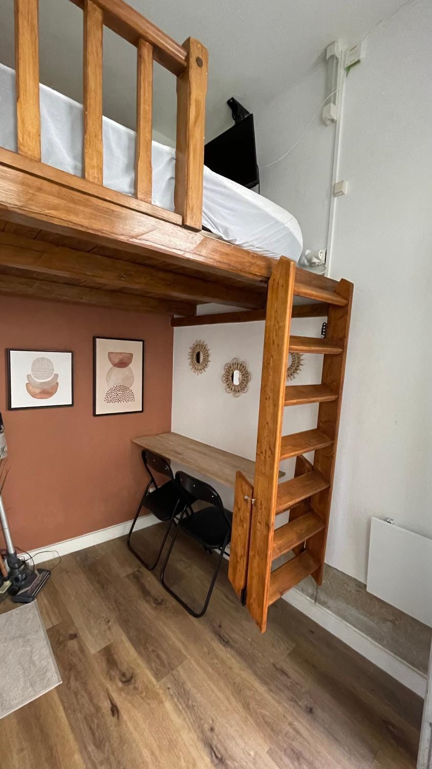 Charmant cocon au cœur de Dijon Apartment in Dijon
