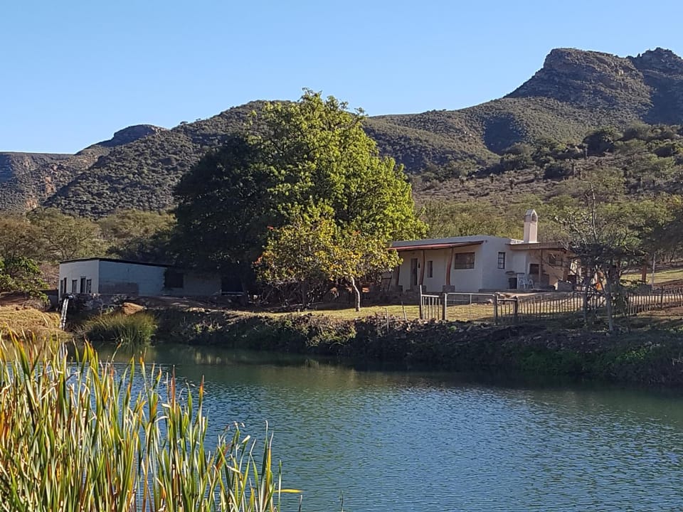 Property building, Natural landscape