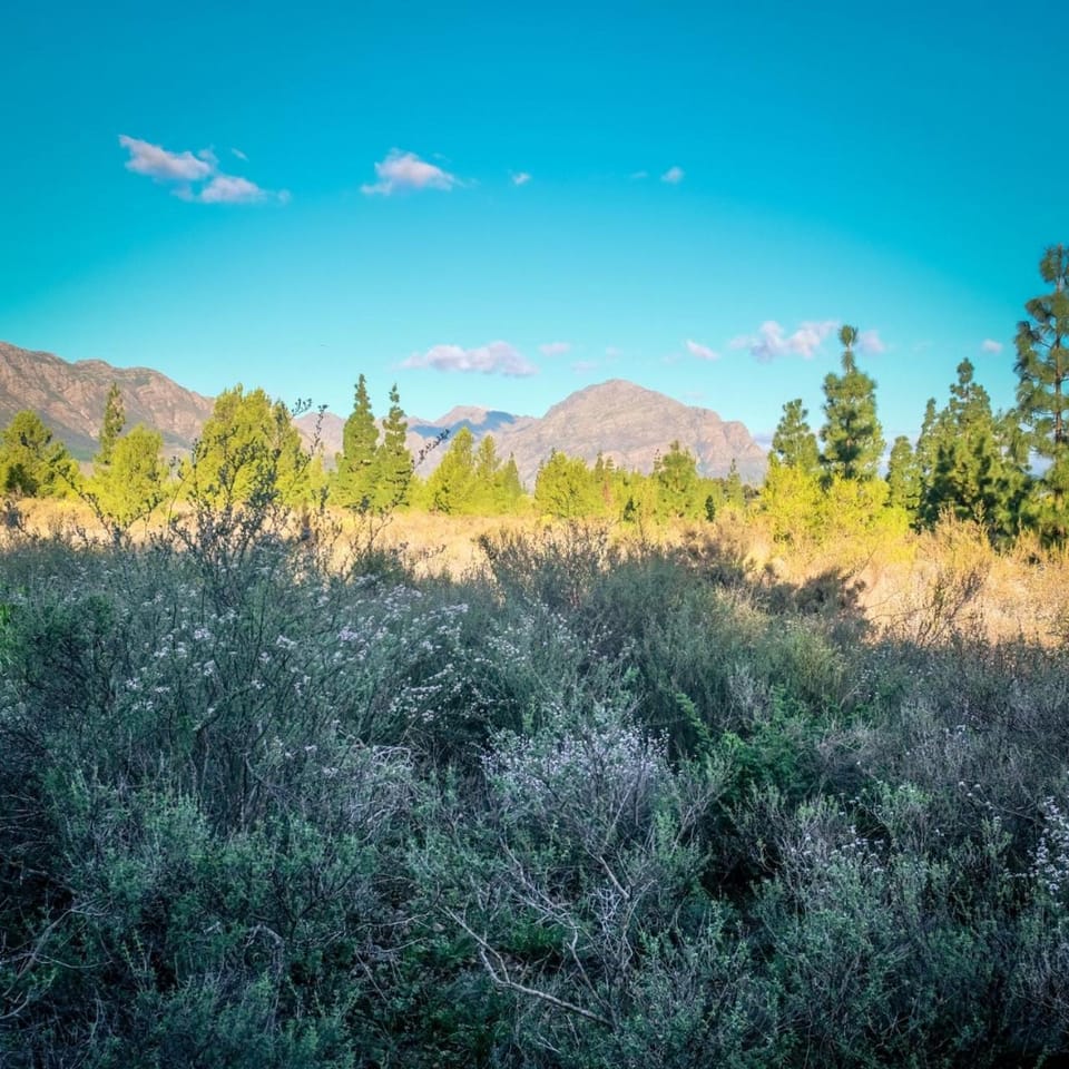 Natural landscape, Mountain view
