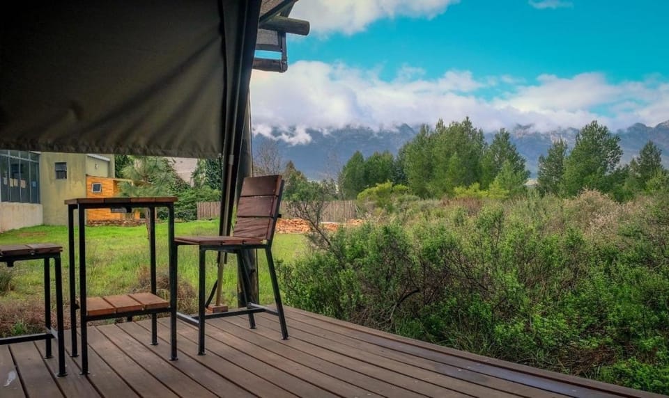 Patio, Mountain view