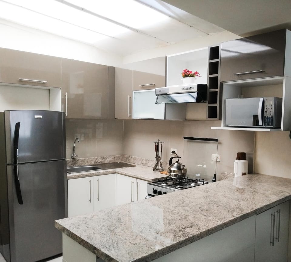 Kitchen or kitchenette, dishwasher