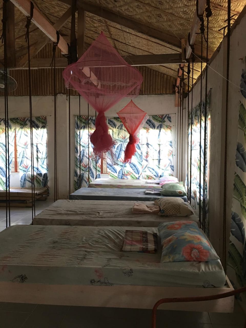 Bohol Hammock Hostel Hostel in Central Visayas