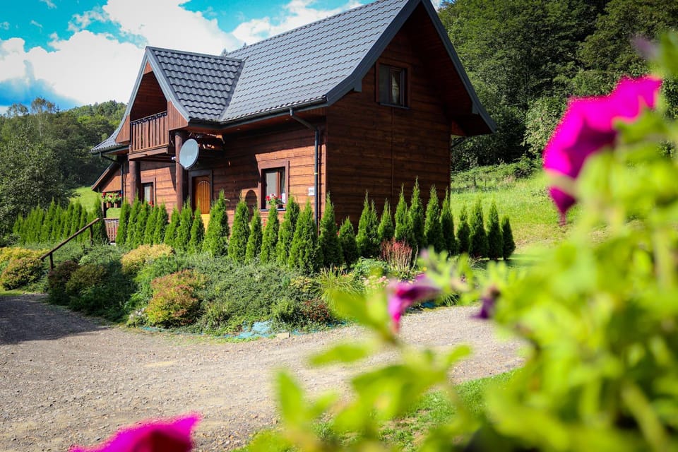 Property building, Day, Garden