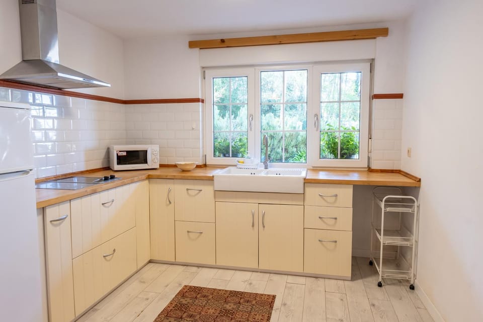 APARTAMENTOS OLGA Apartment in Asturias