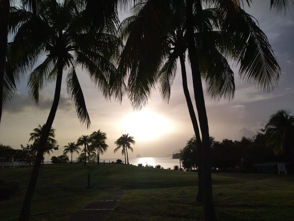 Natural landscape