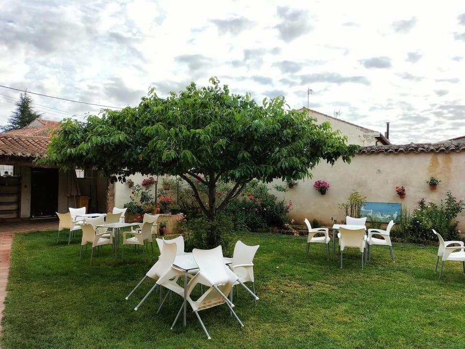 Patio, Garden