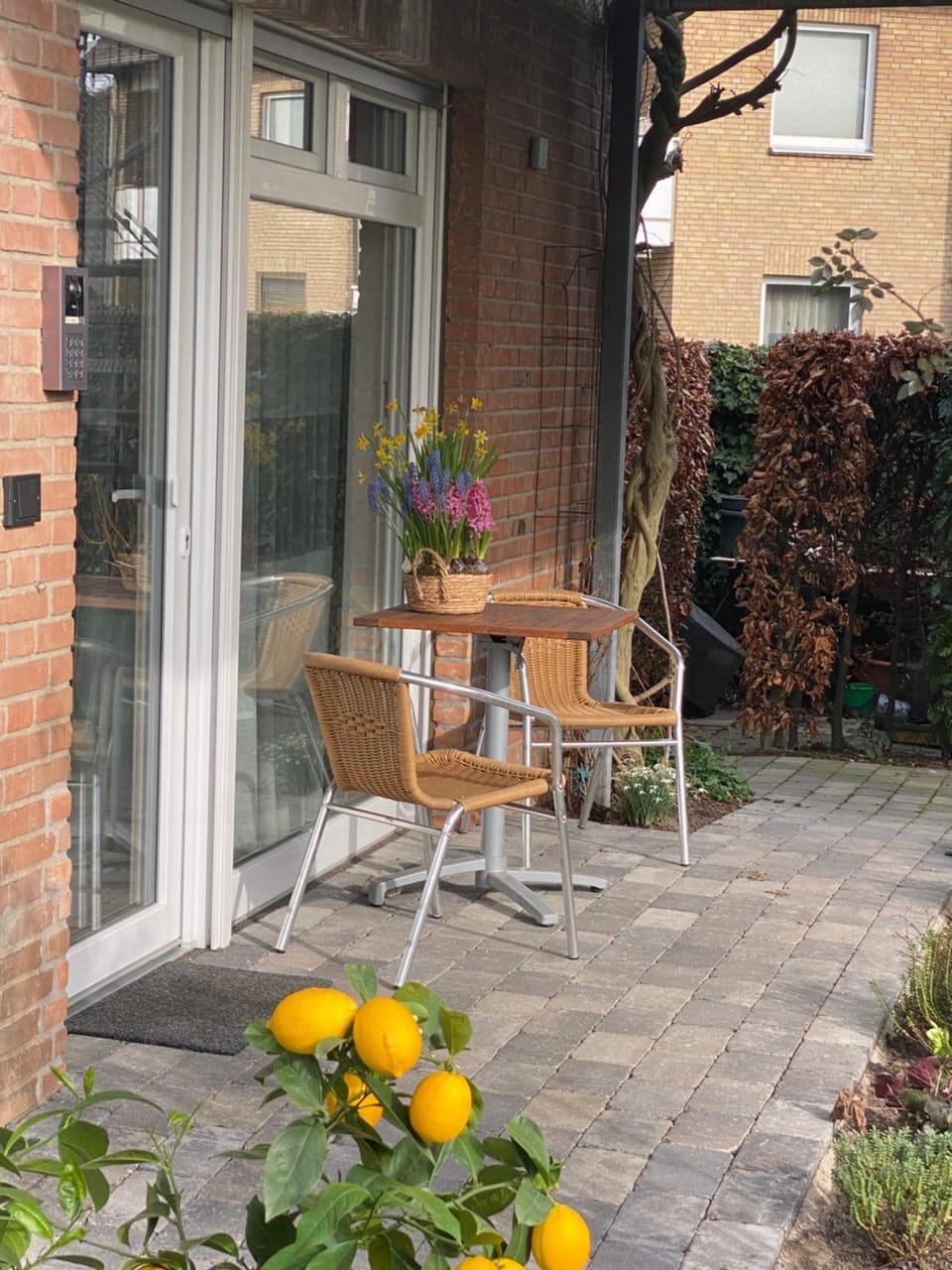 Balcony/Terrace