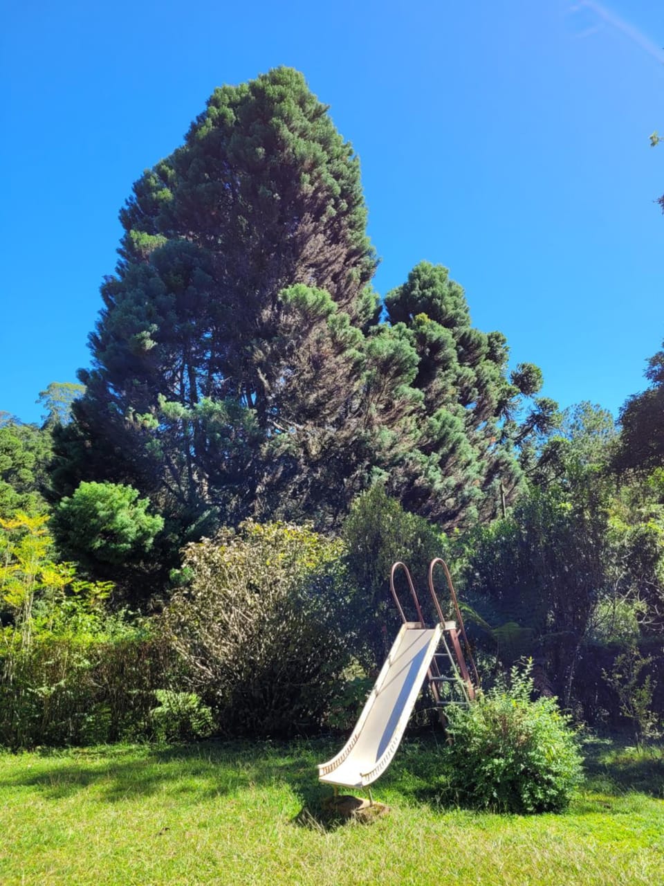 Communal lounge/ TV room, Spring, Day, Natural landscape, Children play ground, Garden, Garden view