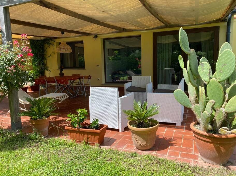 Patio, Balcony/Terrace