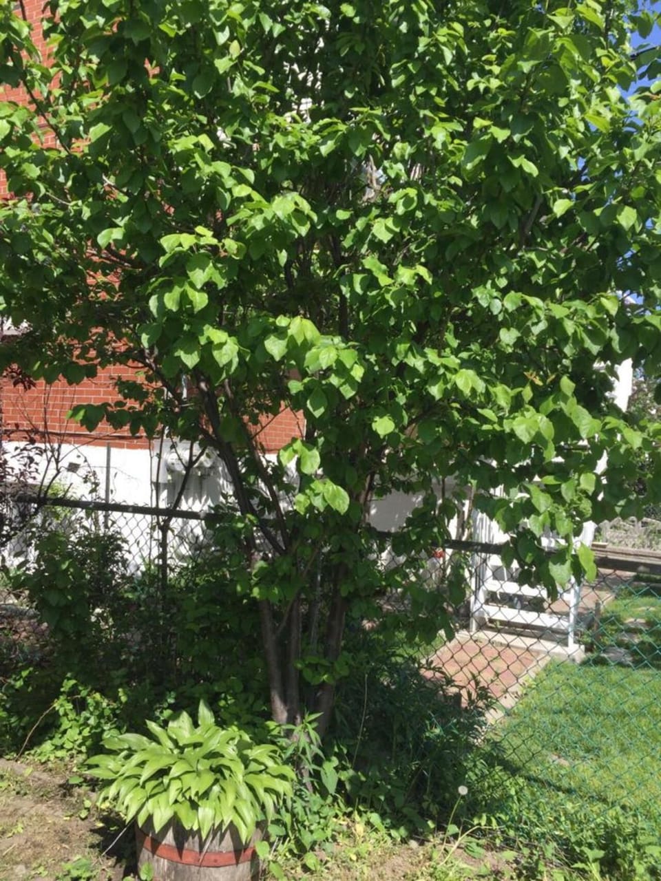 Heaven Is A Place On Earth Bed and Breakfast in Laval