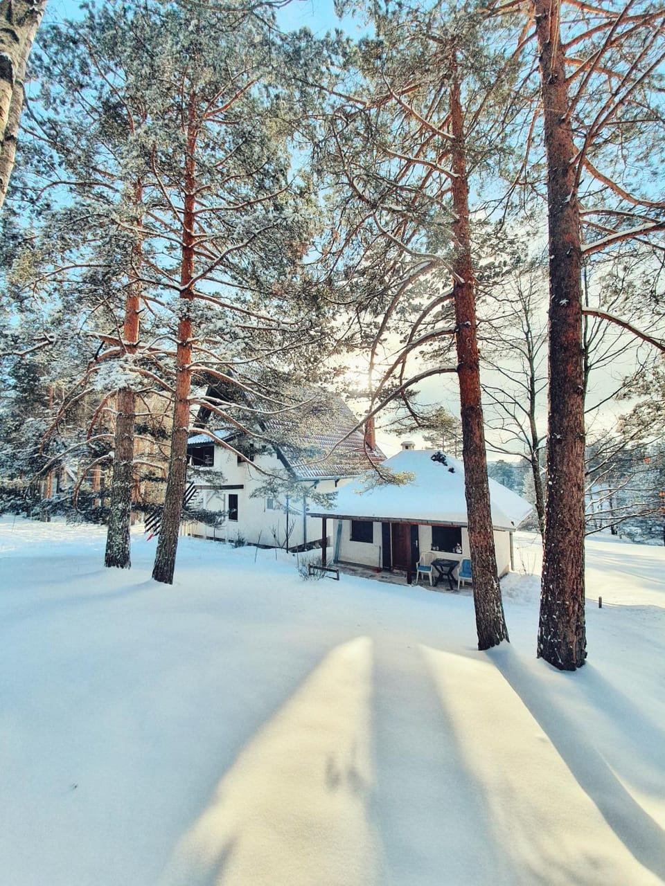 Day, Natural landscape, Winter