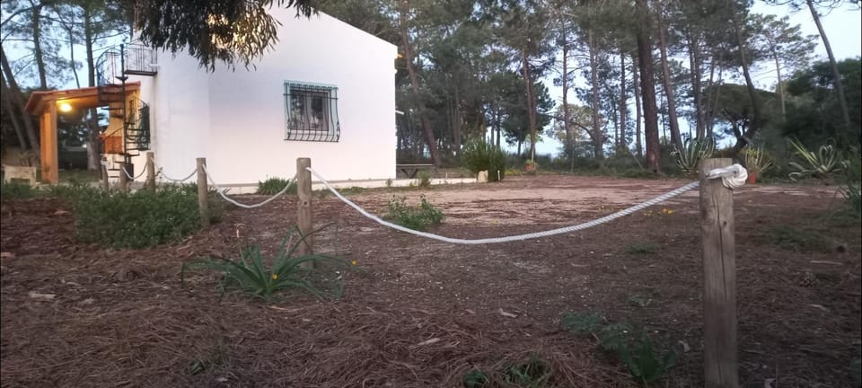 Property building, Natural landscape, Garden view