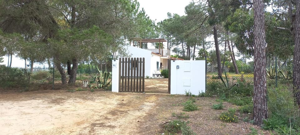 Property building, Day, Natural landscape, Garden, Garden view
