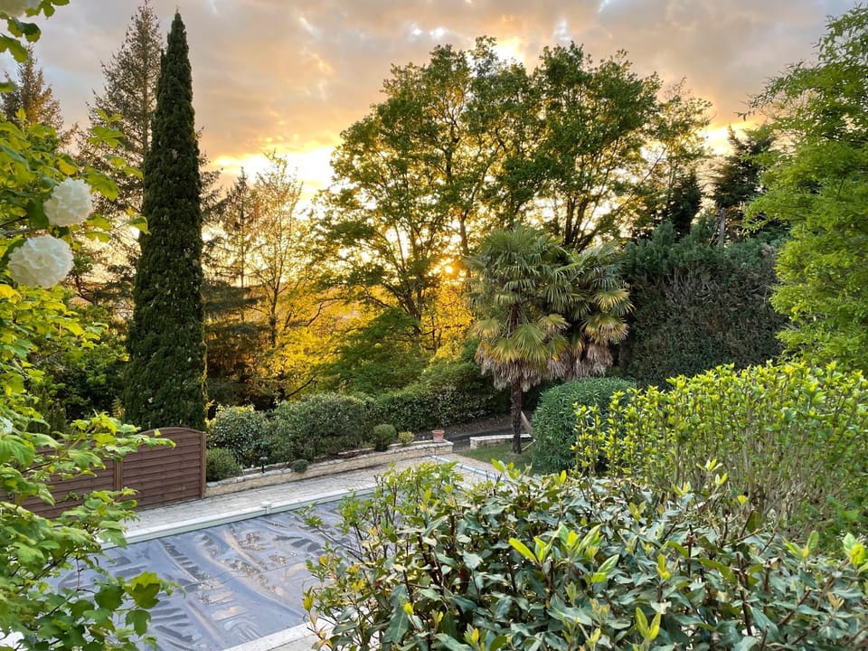 Natural landscape, Garden view