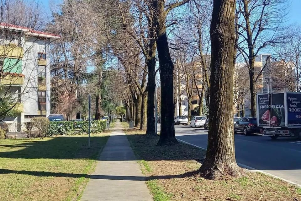Neighbourhood, Street view