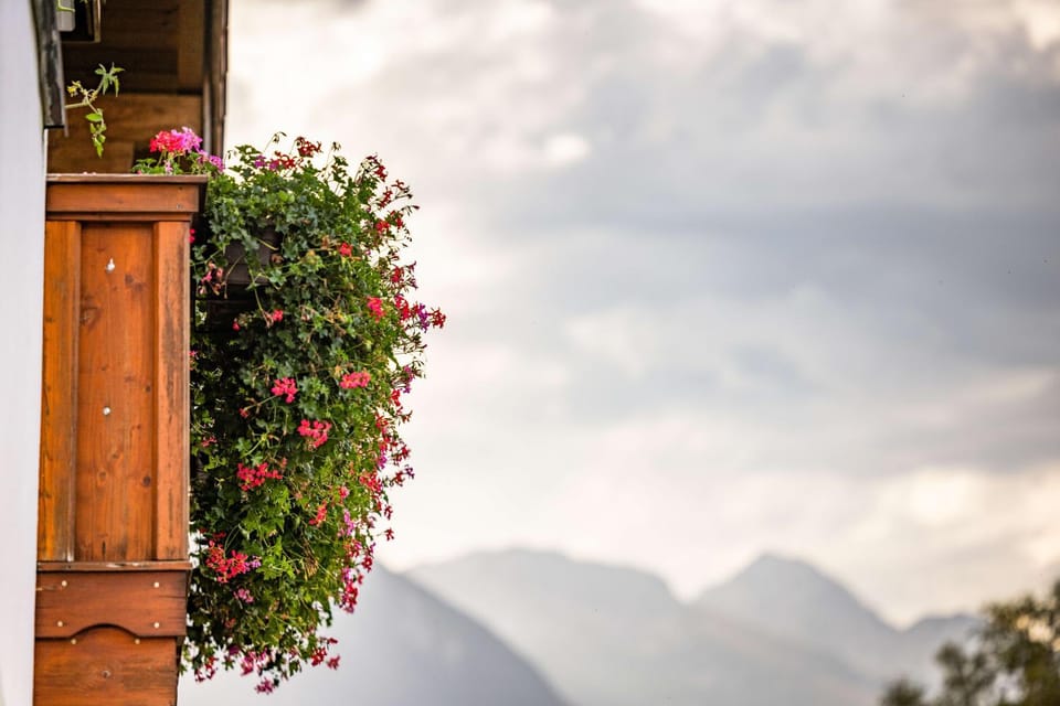 Ferienwohnung Aigner Apartment in Berchtesgadener Land