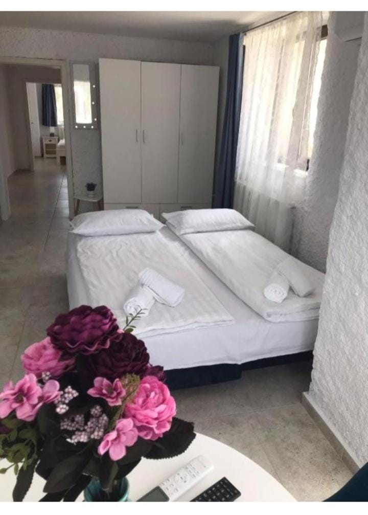 Pensiunea Apartamente 9 Bed and Breakfast in Hungary