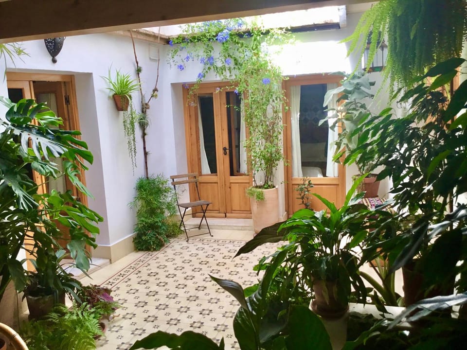 Apartamento en Casa Patio "Pan y Conejo" Apartment in Cordoba