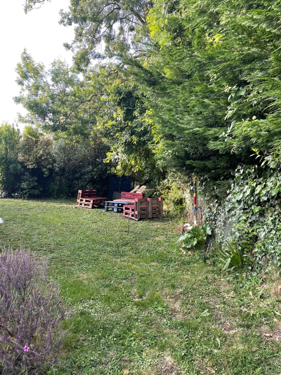 Natural landscape, Garden, Garden view