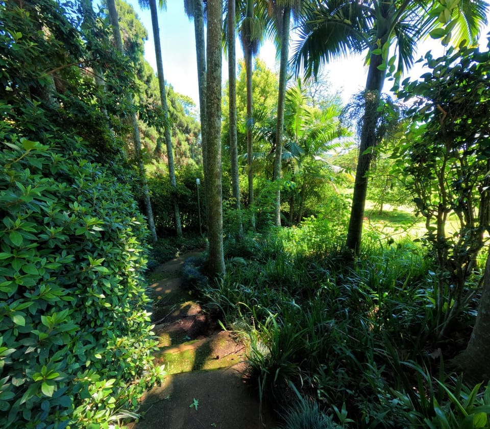 Irish Hills - two bedroom apartment Apartment in KwaZulu-Natal