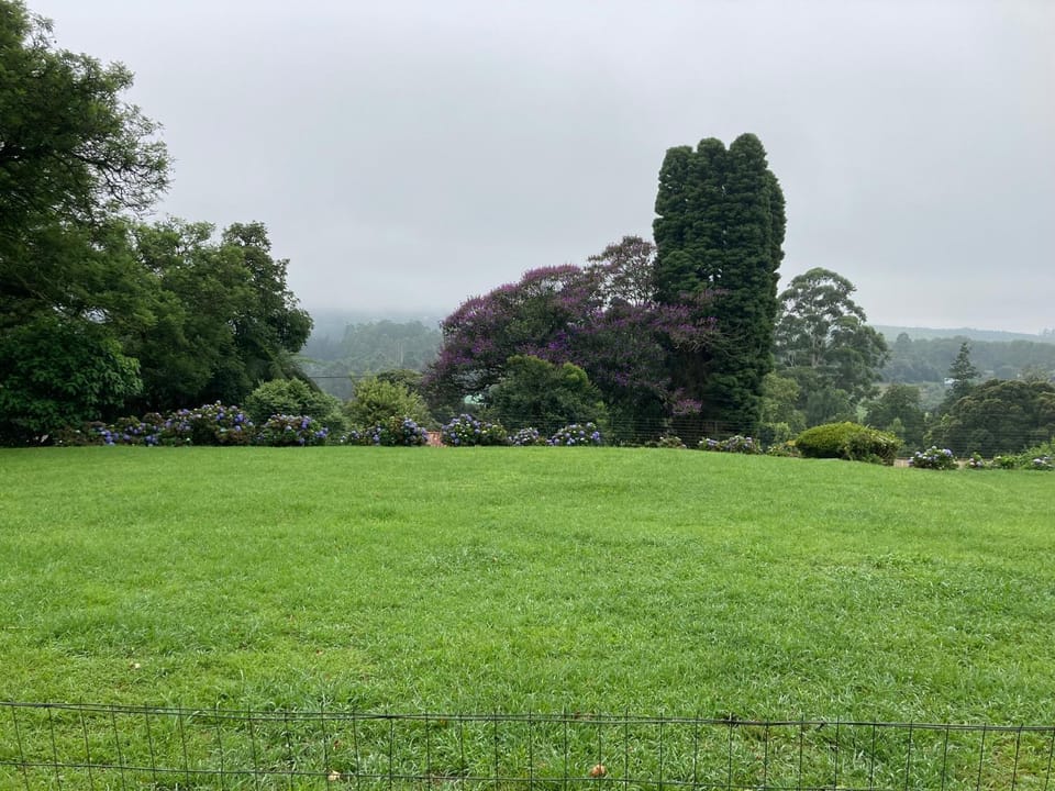 Natural landscape, Garden, Garden view